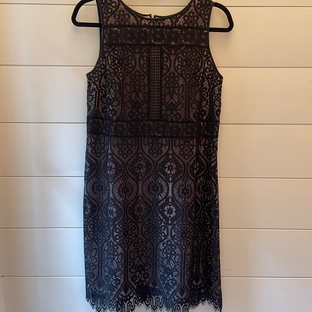 Loft lace dress